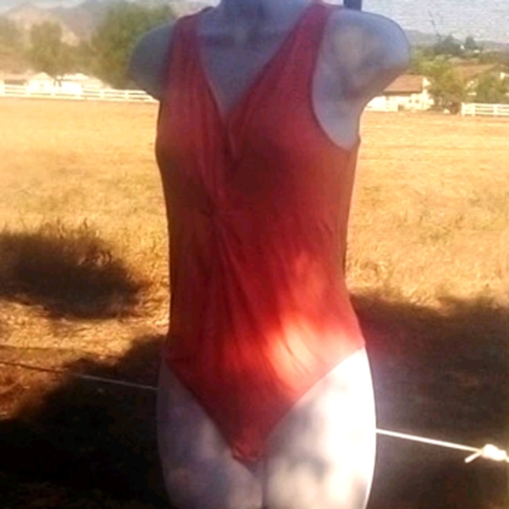 Express bodysuit